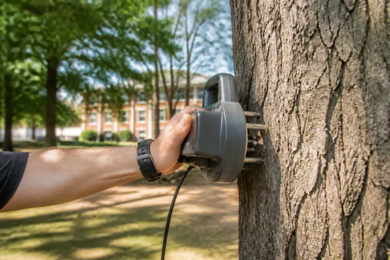 Setup of LiDAR scanning for a tree