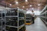 A view of a cryptocurrency mining facility with machines processing Bitcoin.