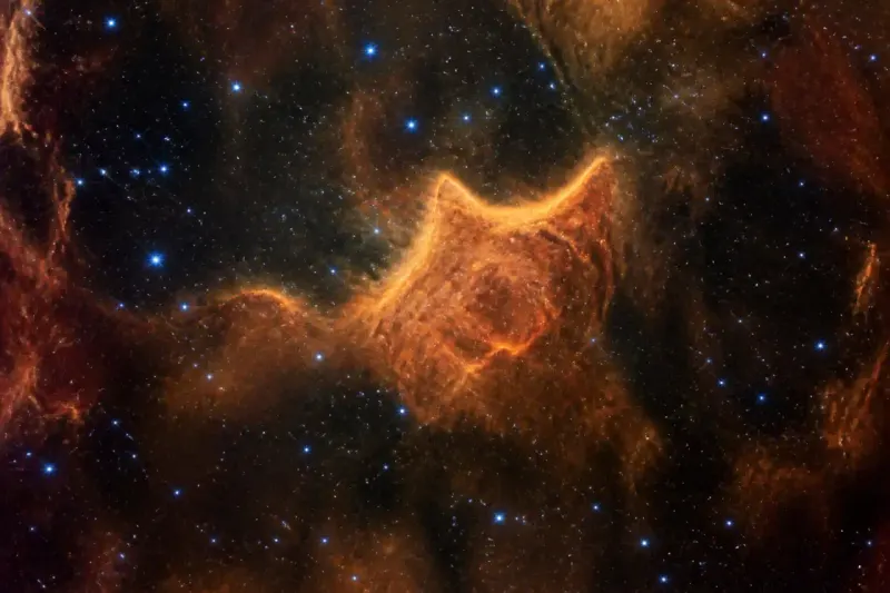 Infrared showcase of the Cat's Head Nebula images from JWST